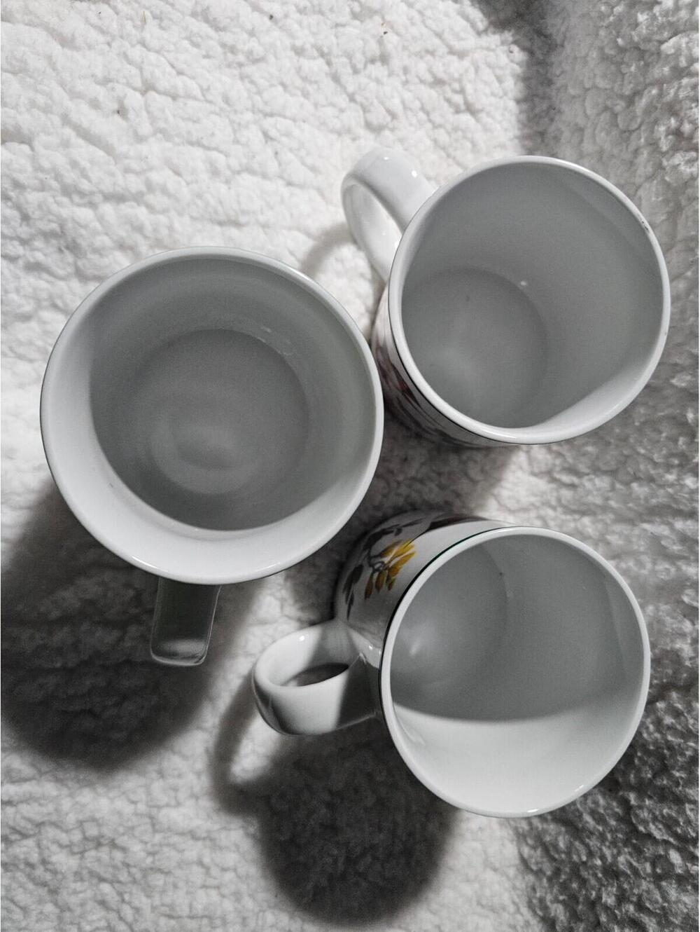 (Set of 3) National Wildlife Federation Humming Birds Coffee Mug Cup White 4.5" - Picture 9 of 12